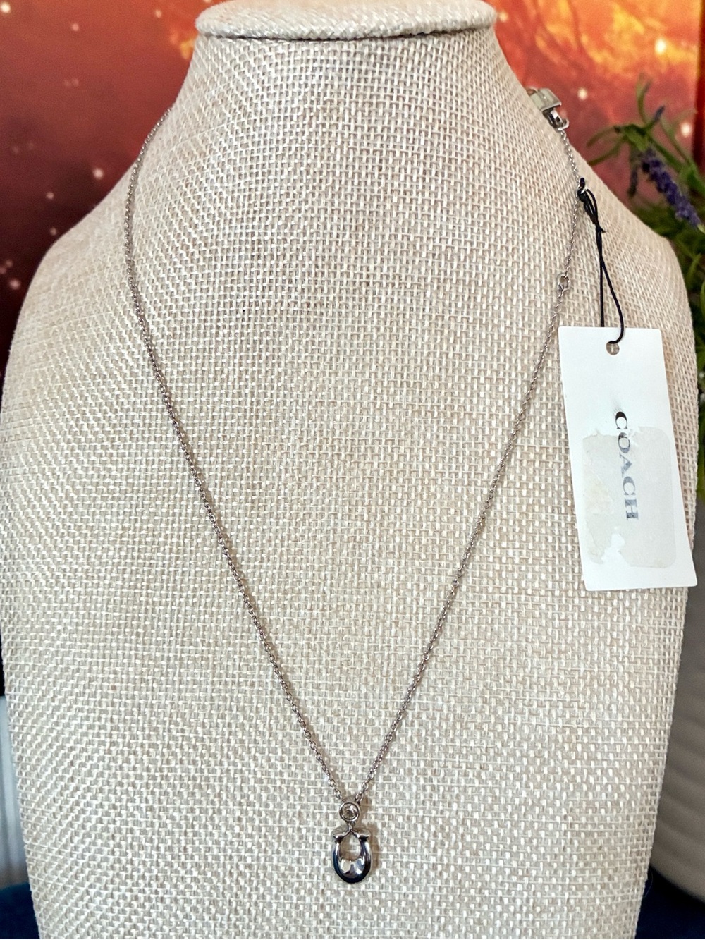 Coach Silver Pendant Necklace
